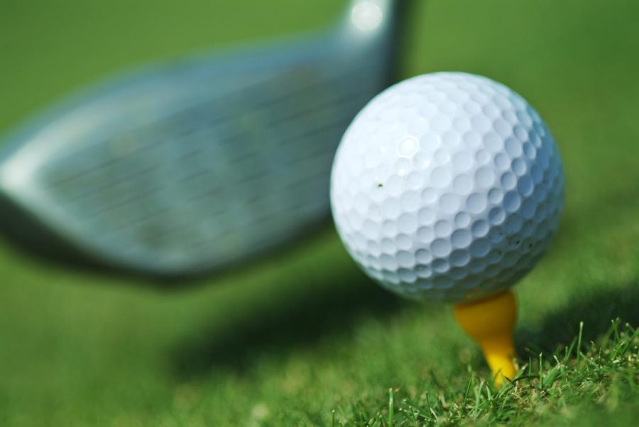 Varsity golf overcomes weather to place well in the Ranger Invitational