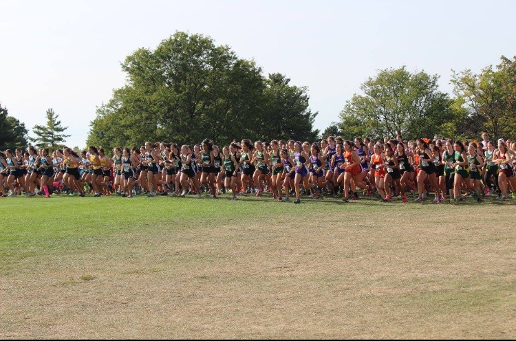 Cross country team heading into Conference Championship