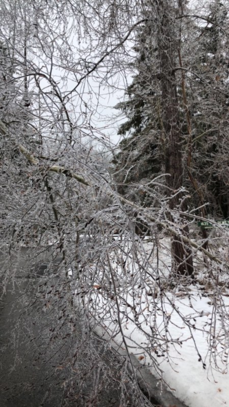 A frozen world