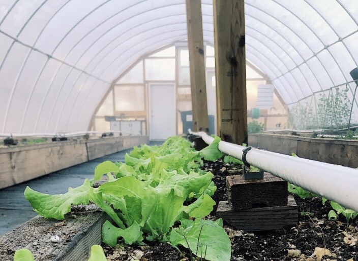 The greenhouse is a positive way to educate students and spark interest, according to science teacher Chad Scholten.