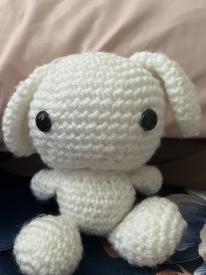 A small bunny that I made for my friend's birthday