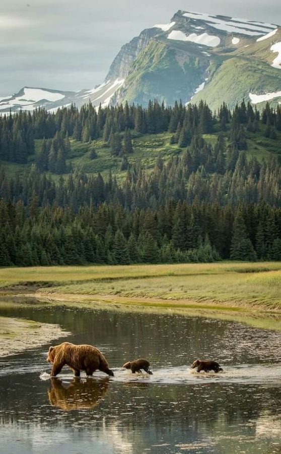 The beautiful Alaskan landscape that is at risk by following through with the Willow Project.