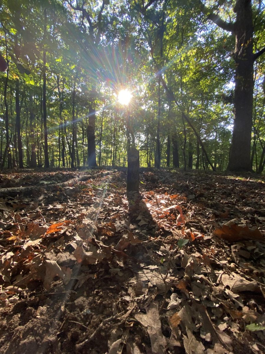 I have always loved fall with my entire heart and soul, and it will stay this way for the rest of my life.