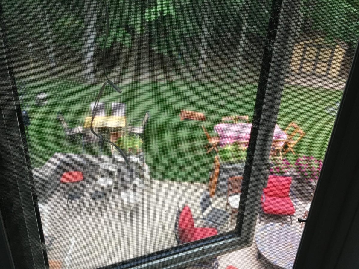 The view from my open window on a day in fall.