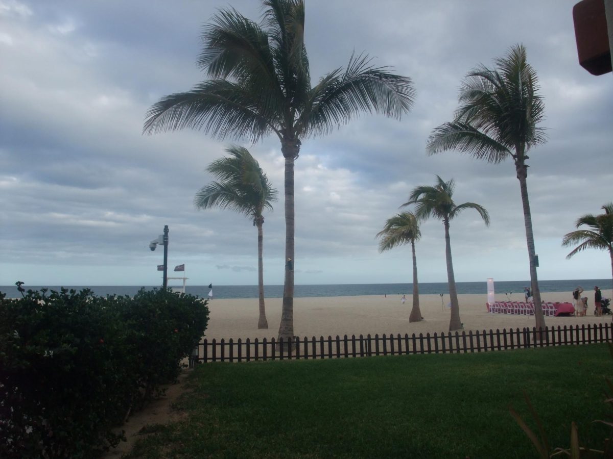 a picture from spring break recently